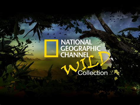 national geographic which chanel on bellmts|bell mts tv channels.